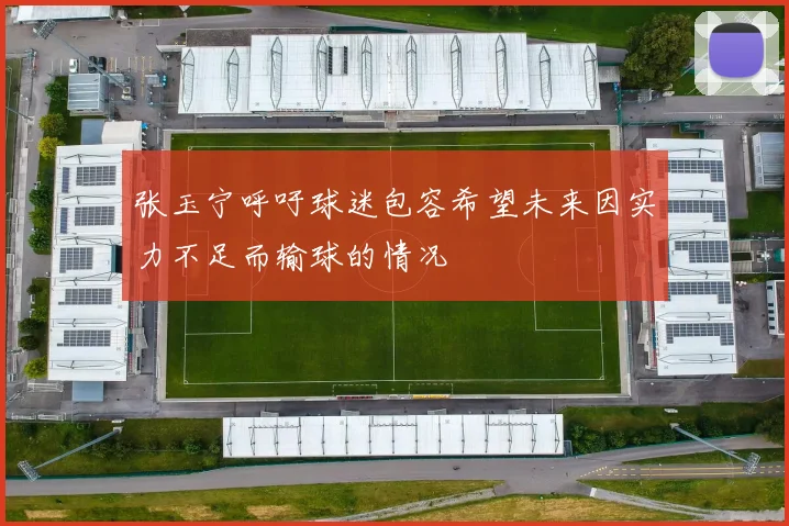 张玉宁呼吁球迷包容希望未来因实力不足而输球的情况