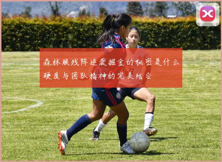 森林狼残阵逆袭掘金的秘密是什么硬度与团队精神的完美结合